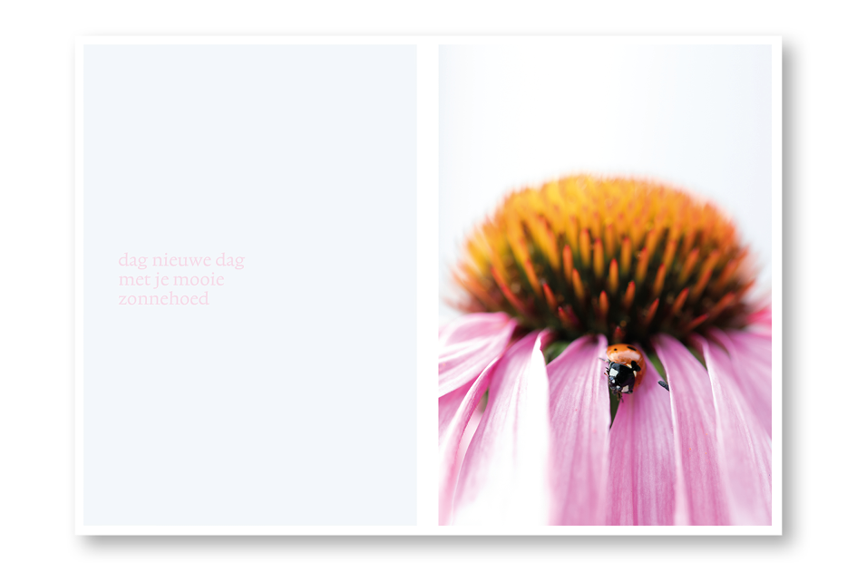 * zonnehoed template 06